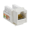 cat 6 mudule